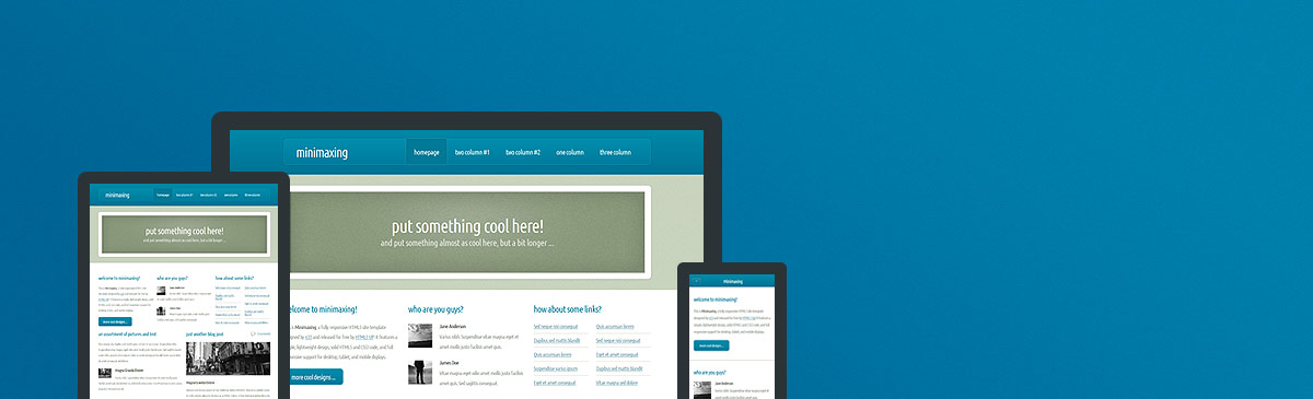 Minimaxing website template preview