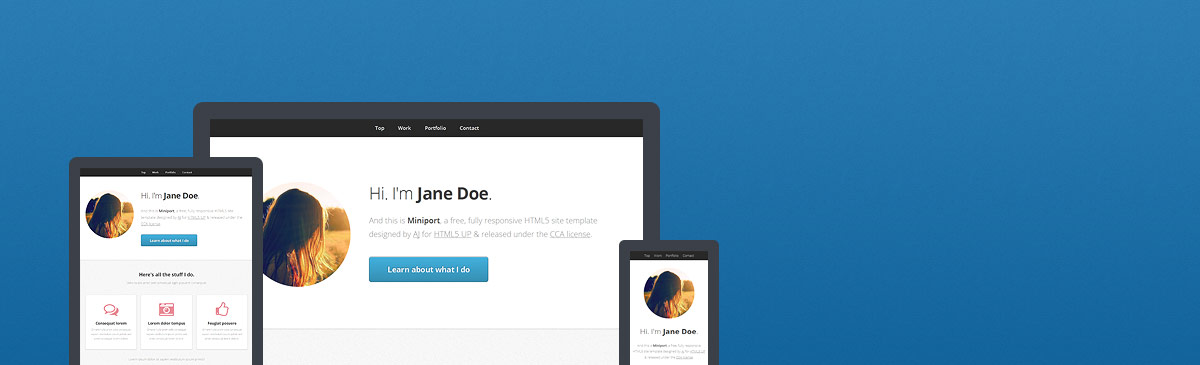 Miniport website template preview
